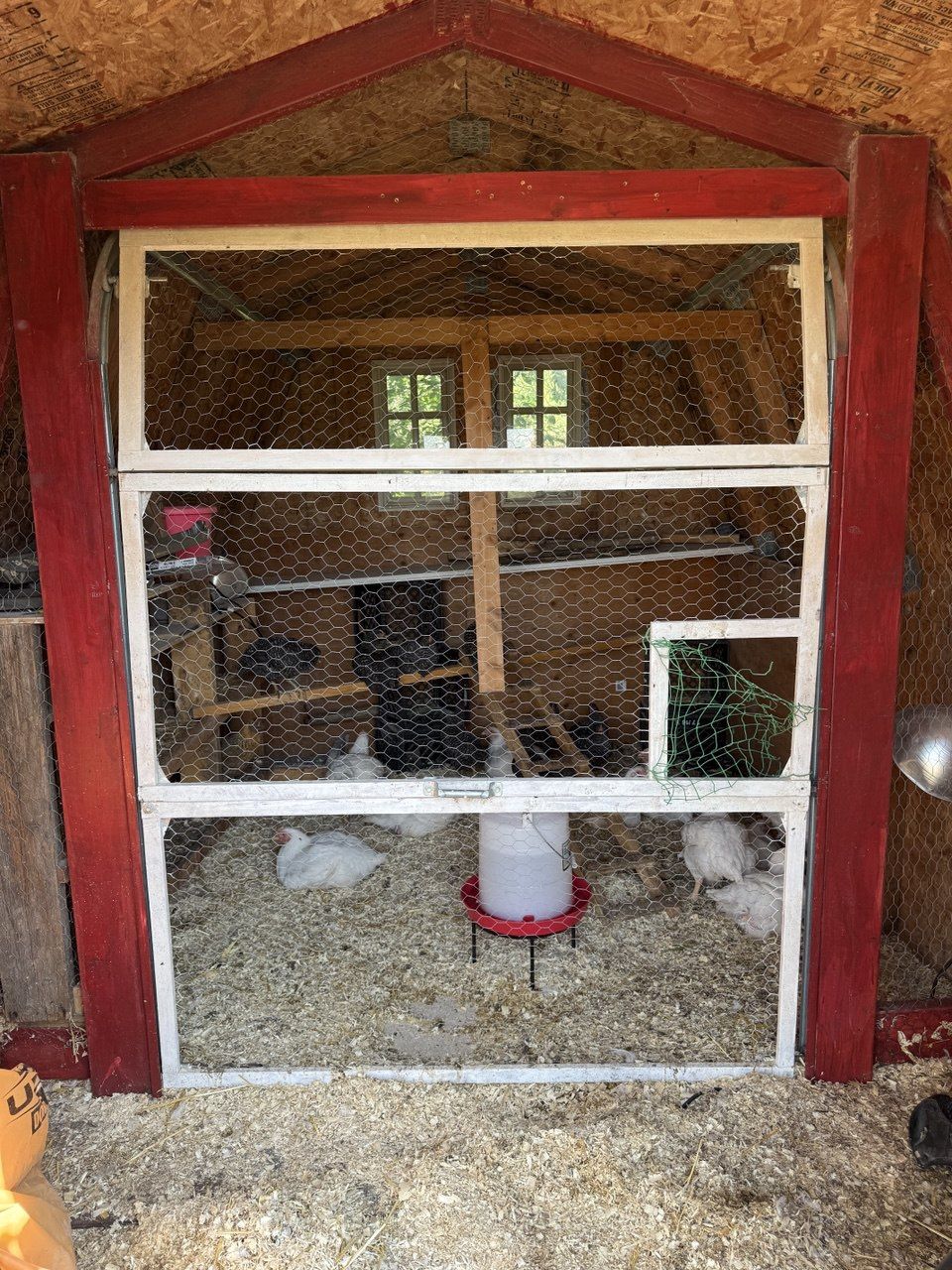 Chicken Door Installation